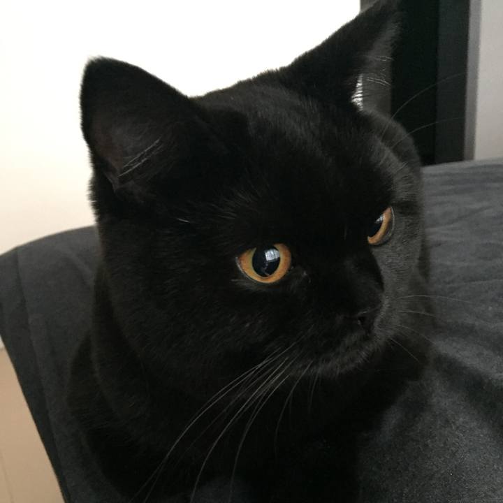 C1dc21fa fec5 4ae8 80a6 5f5cab2bd2f4