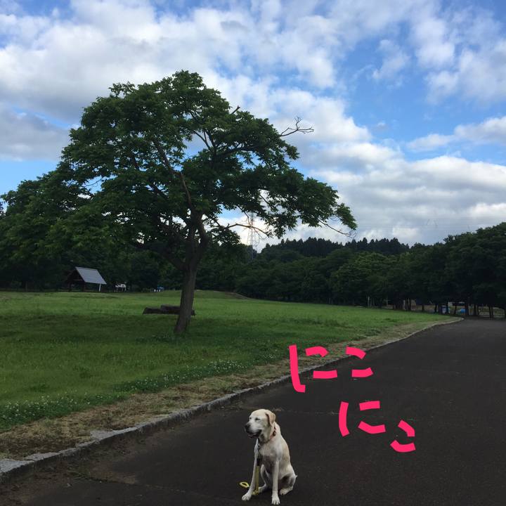 C1dc3bd6 85ee 4165 bfa9 7d72d55090e0