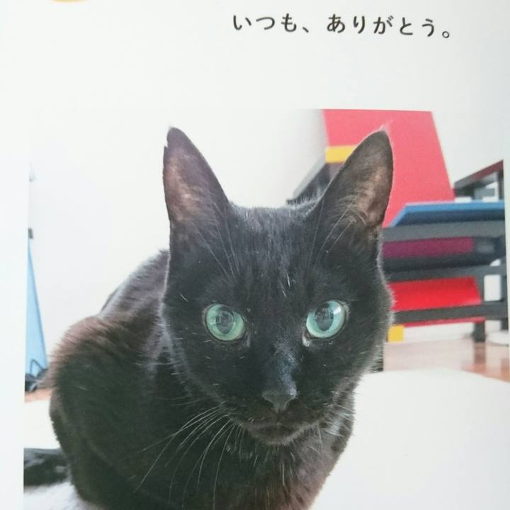 C1dc847c def1 4270 b707 e283ee199493