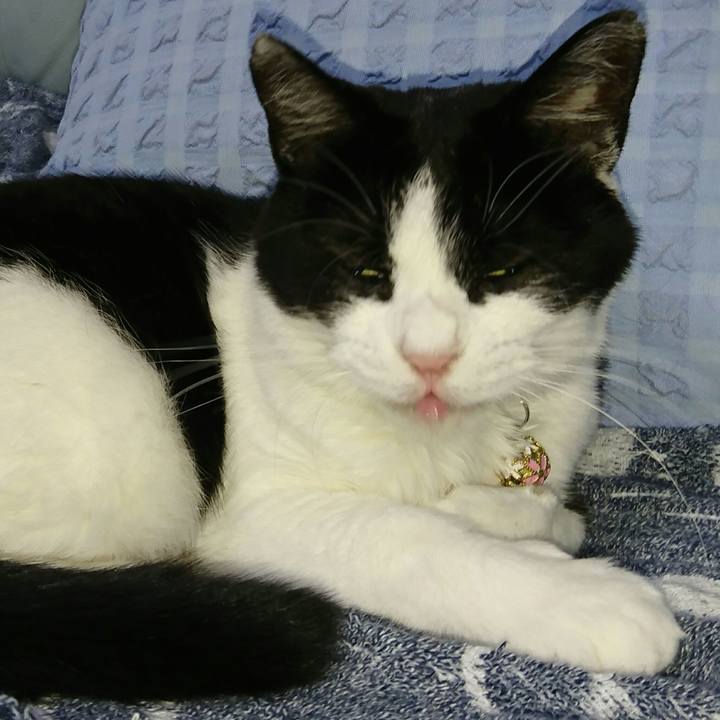 C1dca808 805b 467c 97c7 6a010df681b3