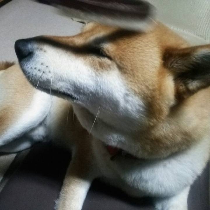 C1deb0c6 a1c4 47a0 beb3 5476bee9ad8c