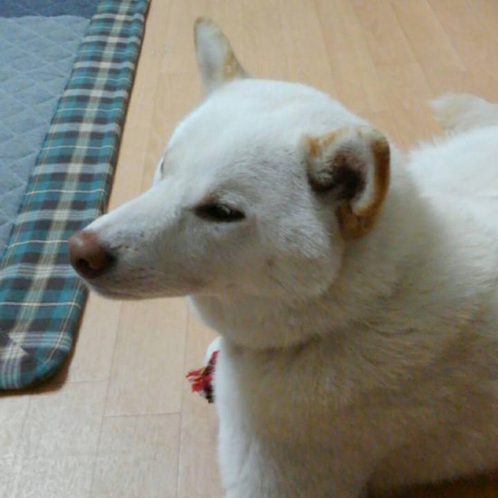 C1decd0c 3f87 4705 b332 abb131c44193