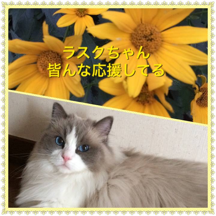 C1df43e4 b84c 4b81 ad2f 1a7ab60c06fb
