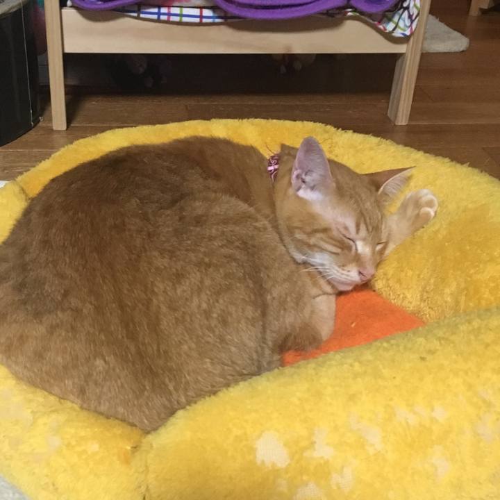 C1df7f2b b8f5 47d6 8463 384c4b99baf3