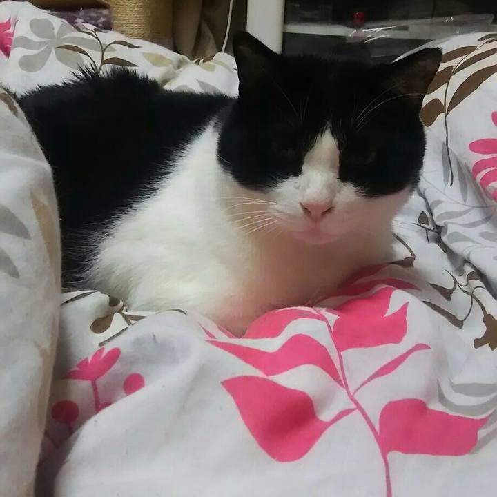 C1e07e7c 97a6 44ac 9132 d8e511d1e0b2