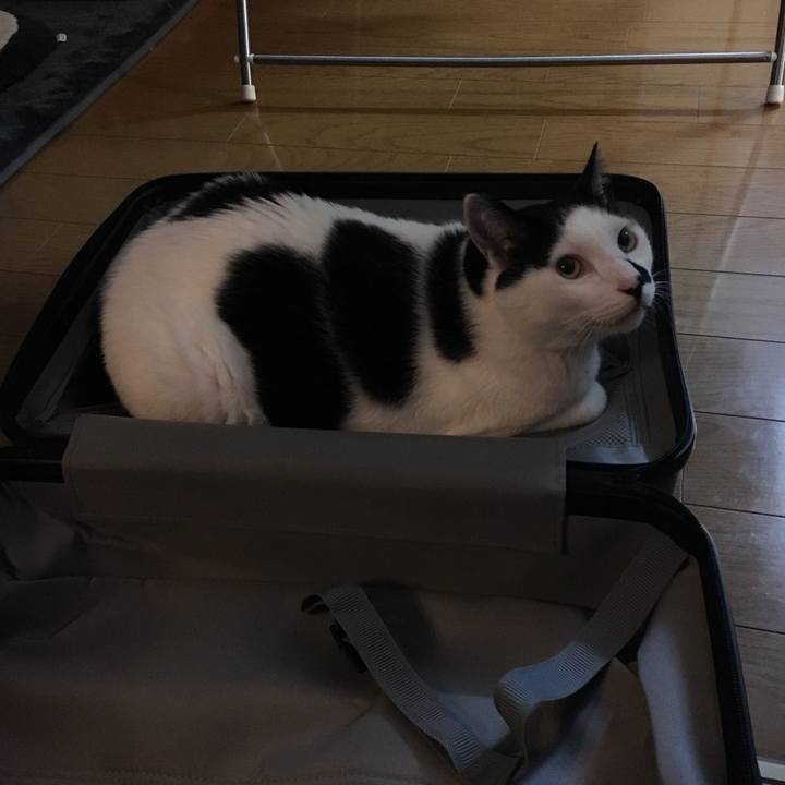 C1e0aaa6 dfee 4769 a67a acf24bd6c0bb