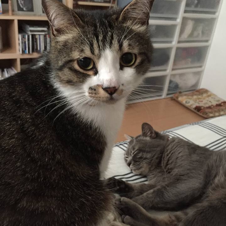 C1e11735 13c2 4ff8 853a 358b286d0401