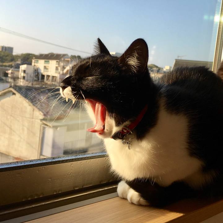 C1e15a71 3bbe 4379 87ca db60f8c51463