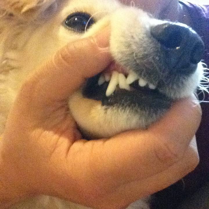 C1e182b7 4017 4a73 bbbf 959696f0aaac