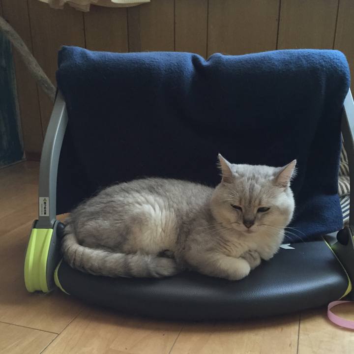 C1e2e25f 62f8 4bf7 8415 974e9528ba68