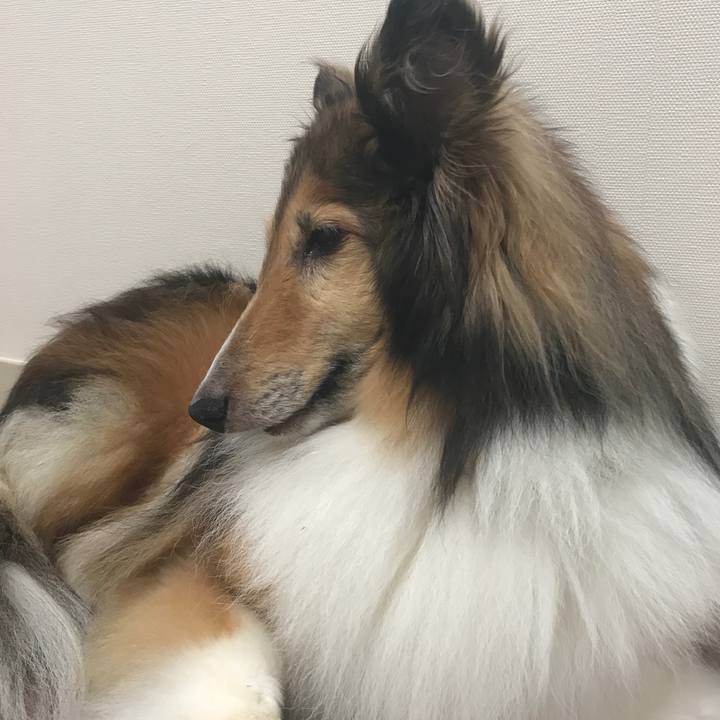 C1e36770 5872 492a 8f51 073810cfdcdf