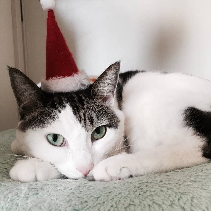 C1e38107 d955 46d9 971e 778247d5f436