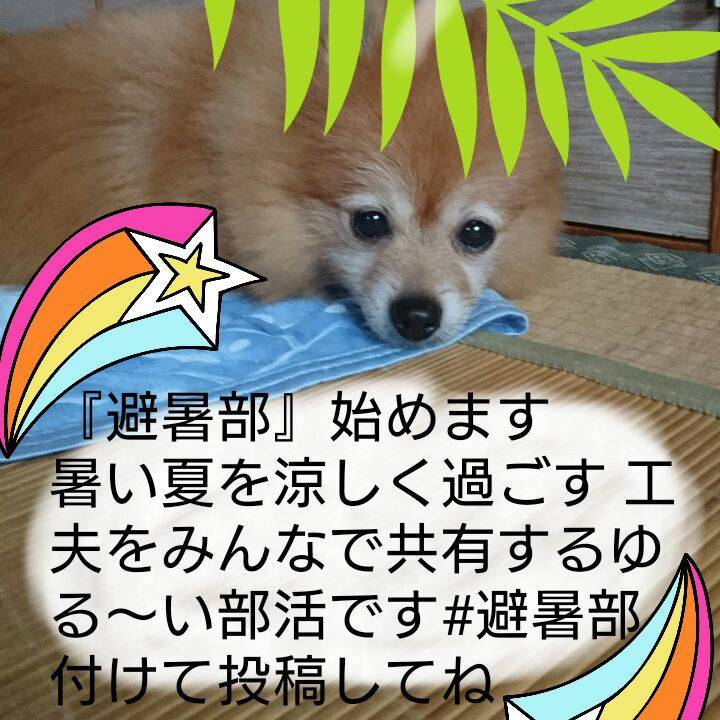 C1e3a104 f667 49fc af77 12b9e34b45e6