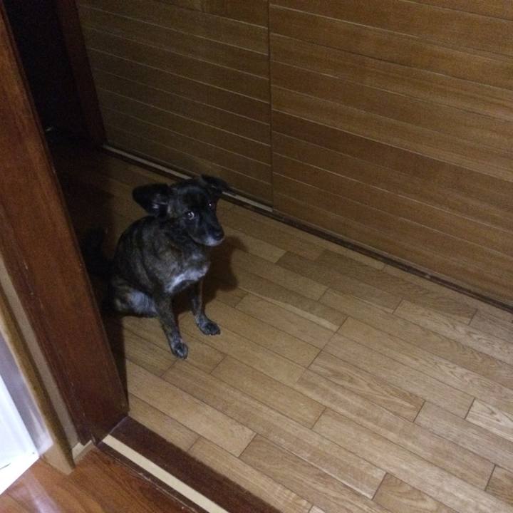 C1e3bb9b 0085 47f6 879f 329ff30883ab