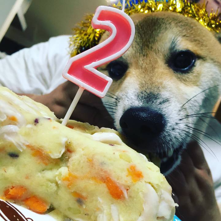 C1e3bee5 172b 4ead ae4c 4a31e05335d6