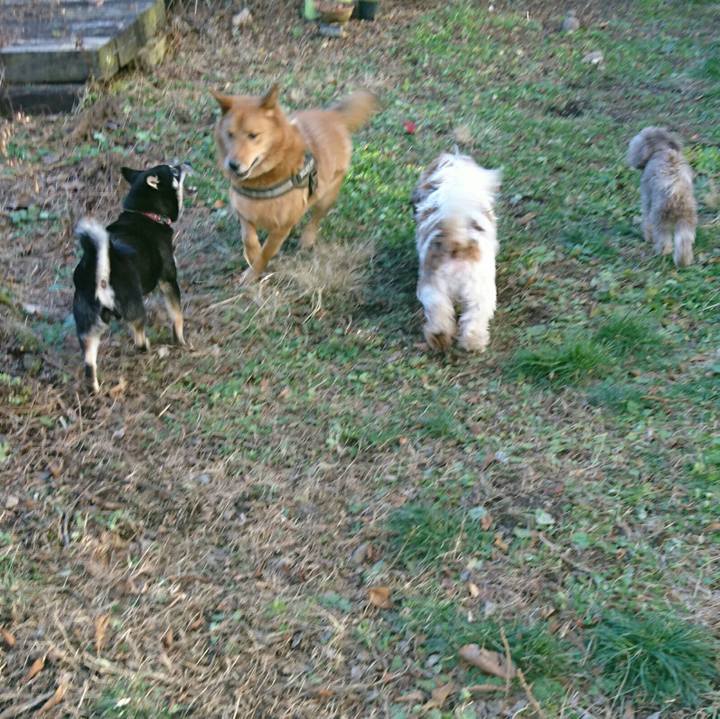 C1e56525 406b 495c b37b b850420ee14b