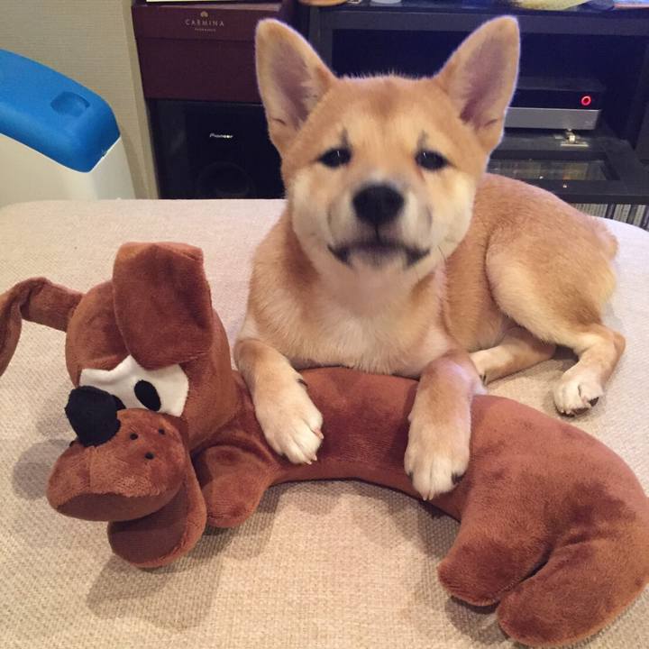 C1e566e9 f529 4c83 9455 df5c1d390693