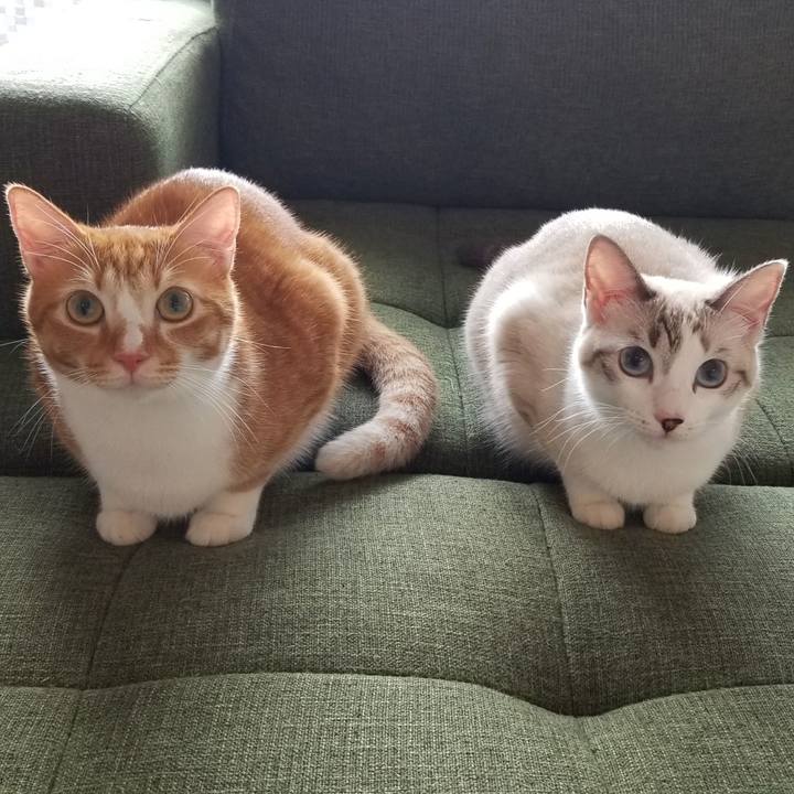 C1e7228e 5090 4f7a 81b8 61bbe3d6e4e7