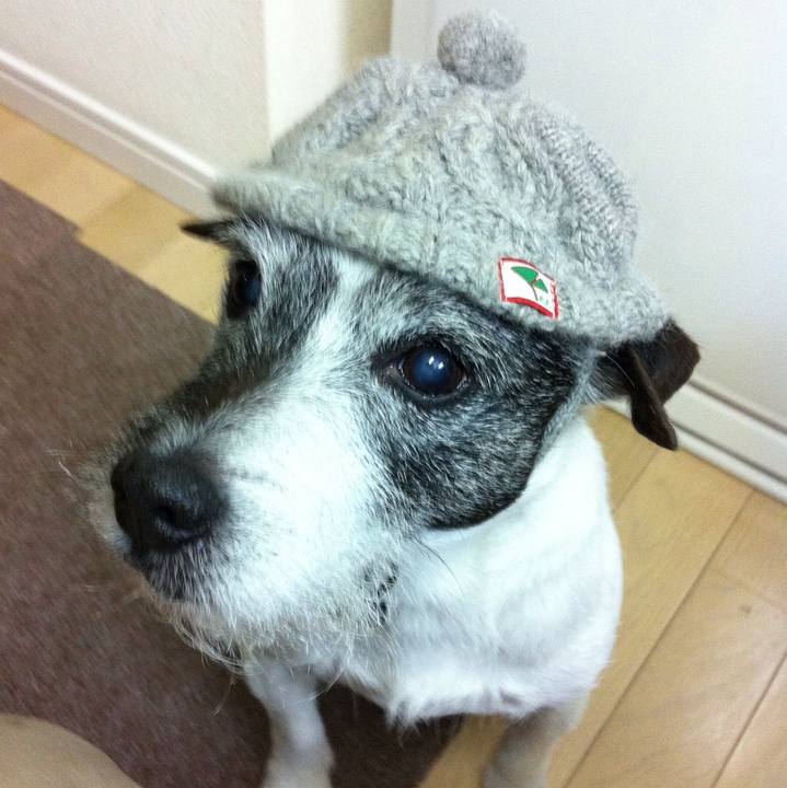 C1e73a6d b5cf 4025 b024 1b2bef906d47