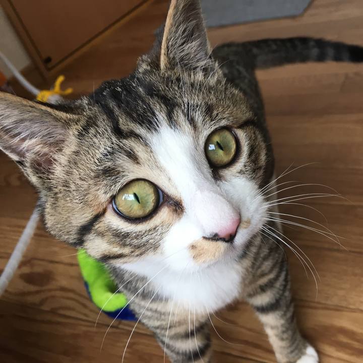 C1e83889 4a93 4ccf a893 f41cb4ca2c1d