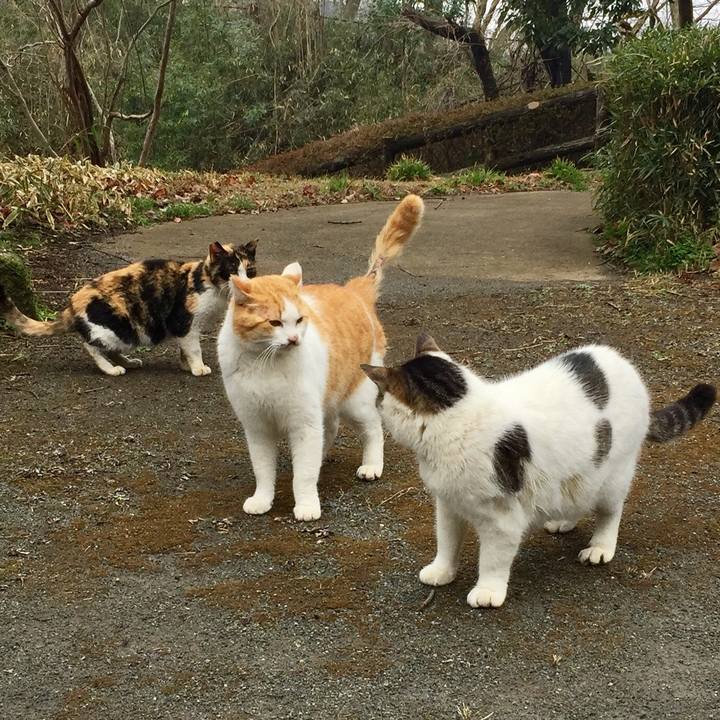 C1e84de0 3fe8 436a 9e07 9ee1099a5ff3