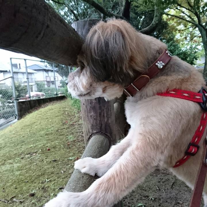 C1e89f9e 9cf9 4340 81f9 8f230d798ff7