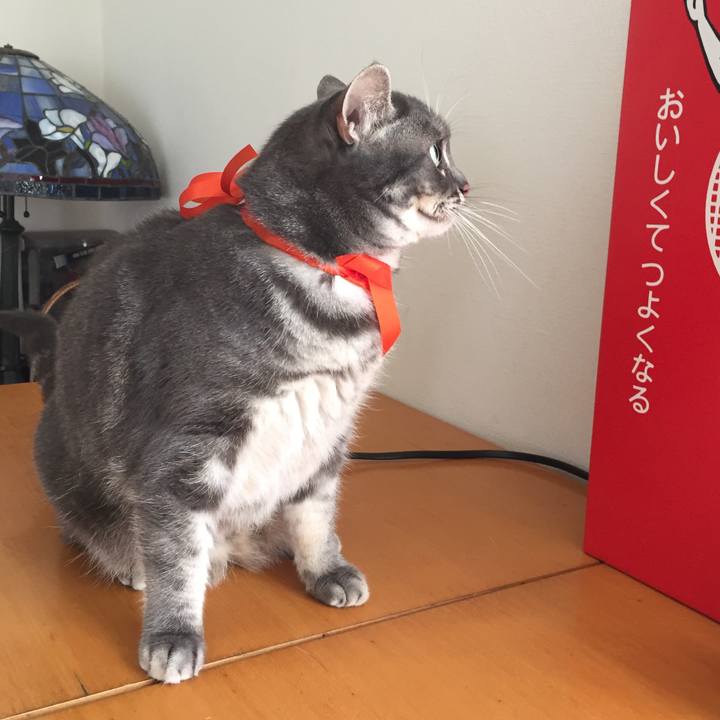 C1e95a45 58aa 4adc 8dff 266deaba8eb9