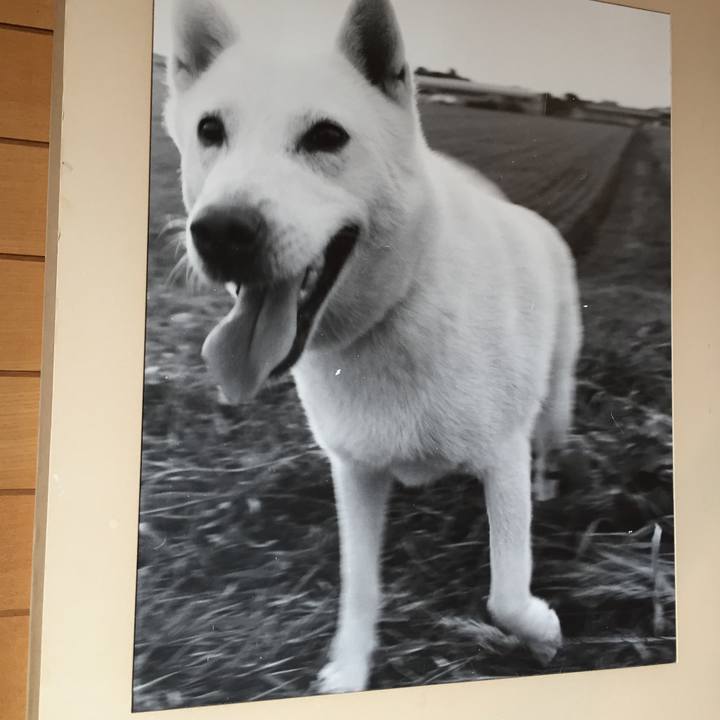 C1e9a490 358f 4a44 86a6 32939614e8e2