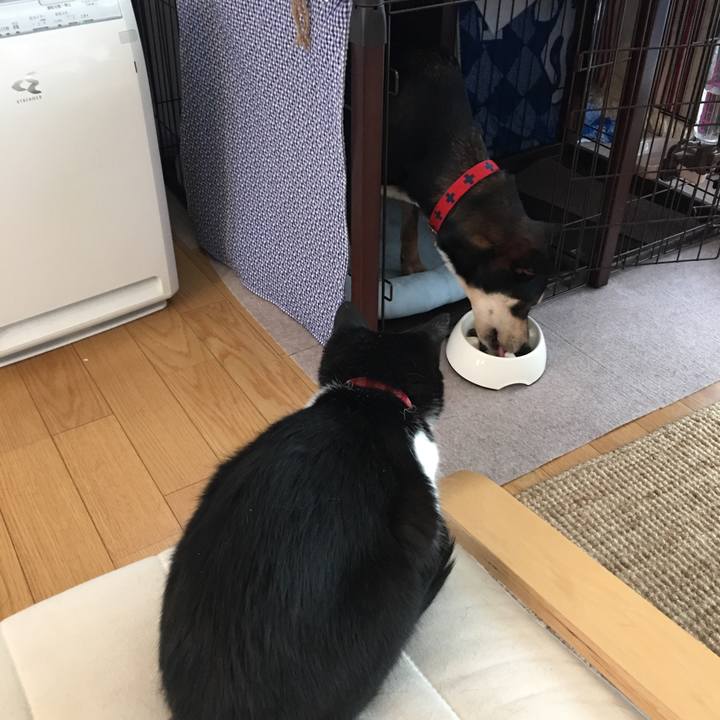 C1e9a62d 8caa 47e1 ab38 0a5859dd76e5