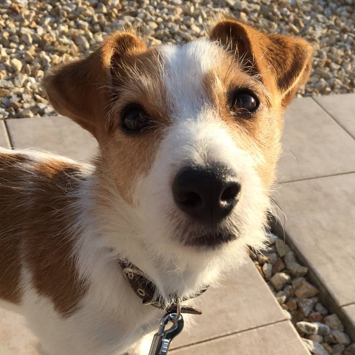 C1e9f217 7ee1 47bf 9966 9652b846fcd6