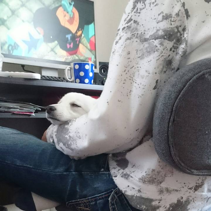 C1ea2bda aaff 4568 bd8e 84bbd35b731a