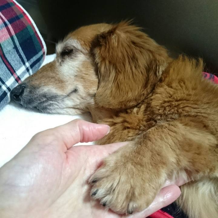 C1ea8940 a5c1 4da9 9152 8f1b01bf335e