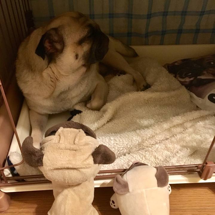 C1eaab5c fd13 4a18 8dc6 4e0d811ce146