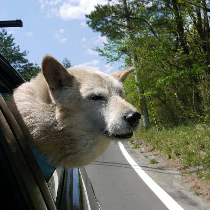 C1eaac80 666c 46a9 8b2b cf2fc4497df9