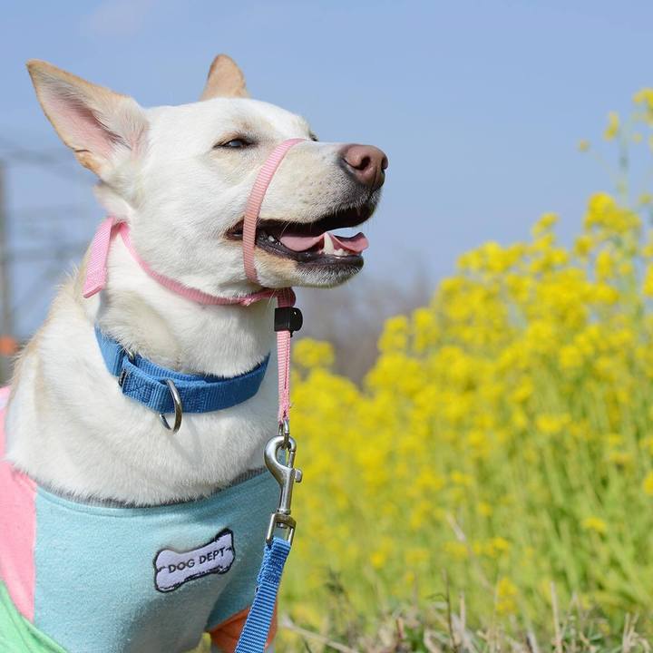 C1eb6265 6131 4ace af7c f20a483e8f26