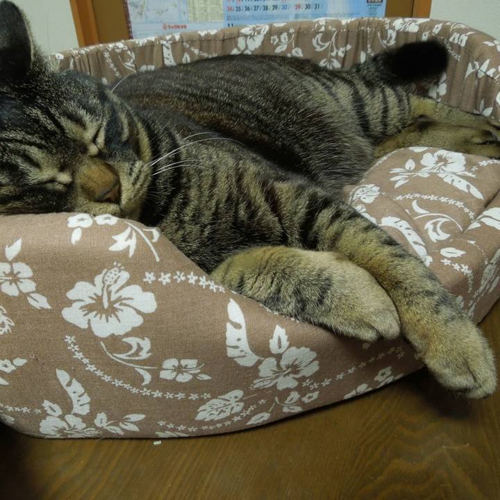 C1ebb20e adba 445c 96c6 ecf57dc29098