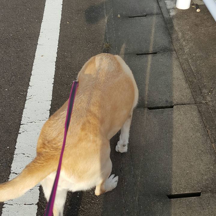 C1ebc57d e0b6 4e67 a540 65ab6d7ce082