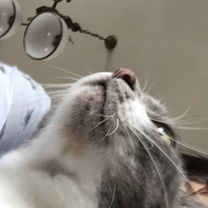 C1eca8f9 cc90 4851 94cd 0dff23699227