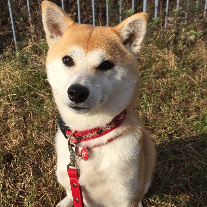 C1ed5ed5 b63a 42c4 a2a8 392401d8e8be