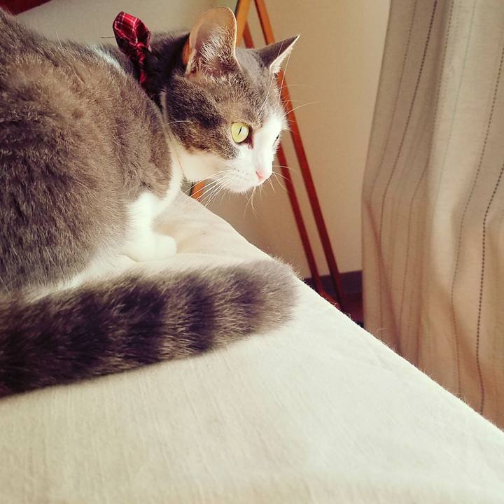 C1ed9447 cbf5 4308 acd5 5203f9ae2a7c