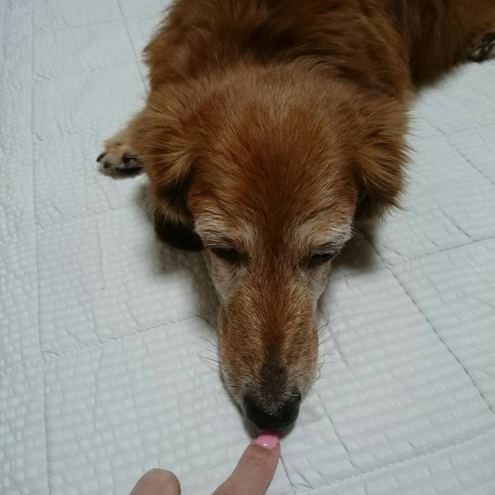 C1ee8d86 cbbd 47f2 9ddb 3c94f6c87d5a