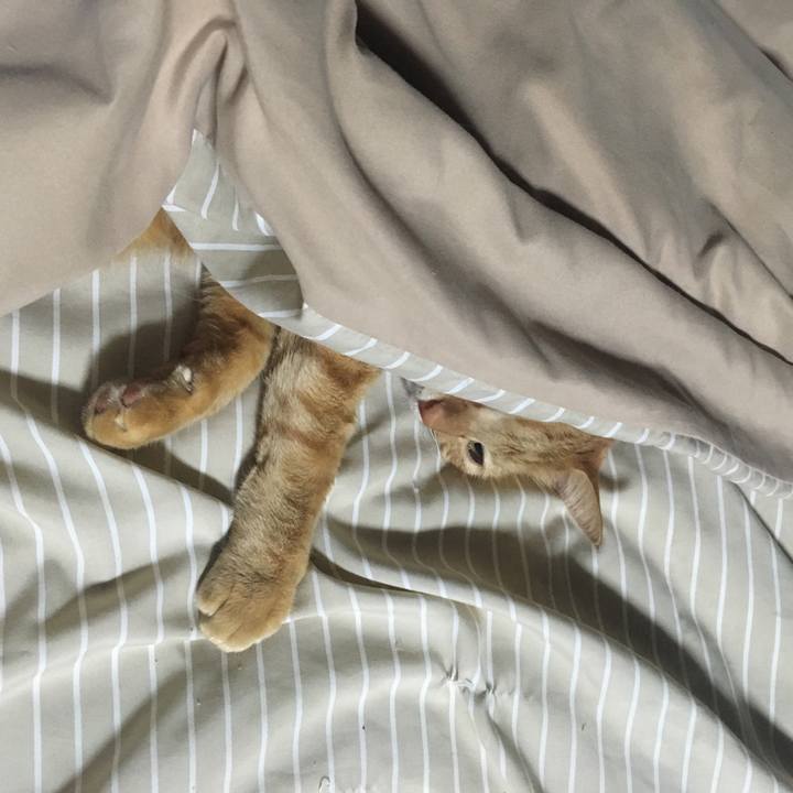 C1f02b0c 31d3 4b94 bf5e f1b2904de3b7