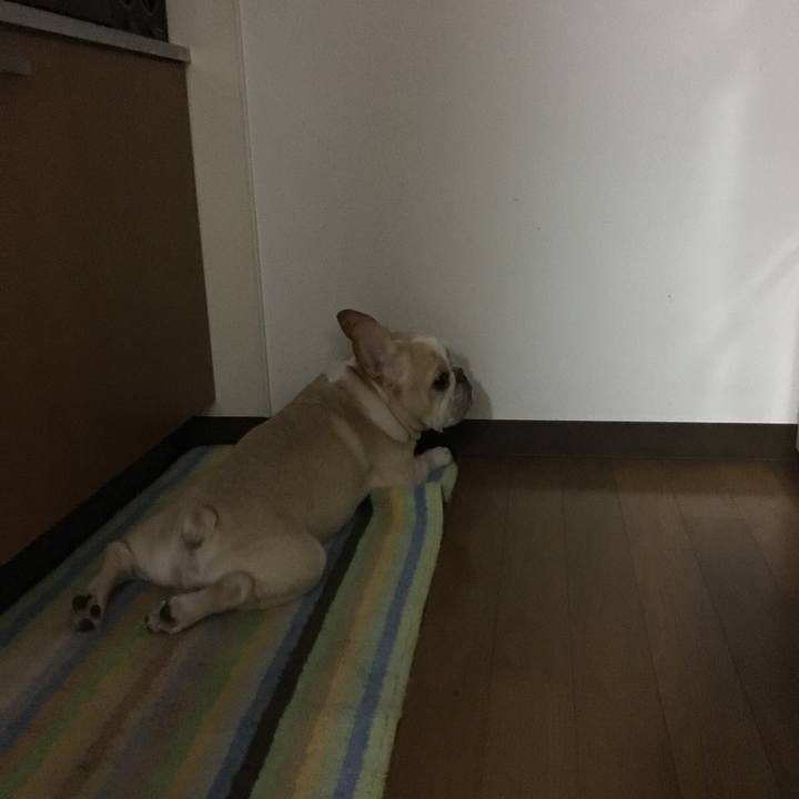 C1f0c913 c63c 4268 b924 847d5754a4bb