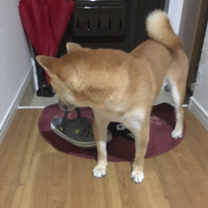 C1f11643 0818 44a6 84e3 dd783f6e4dae