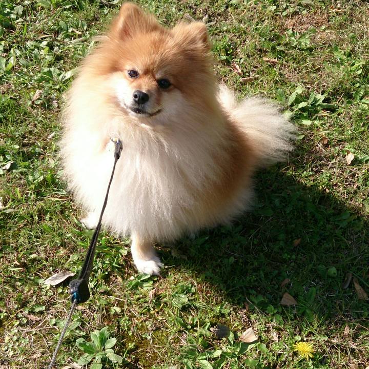 C1f15990 b495 4d4e ac87 c9774e953e5e