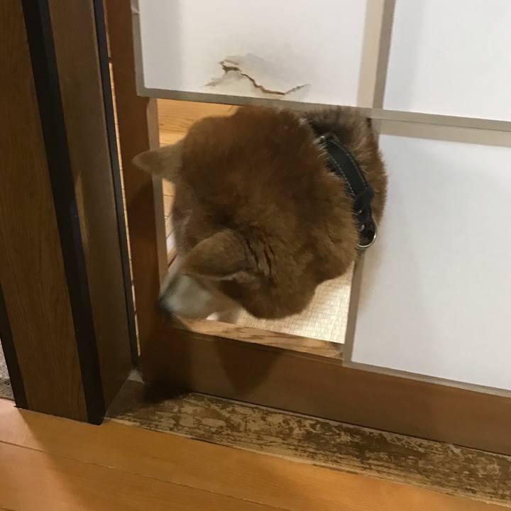 C1f1f121 9562 4cfd 9835 81ebb549e9a4