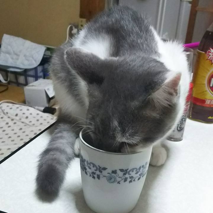 C1f216f4 644c 45fa 8604 13a6551cdf1e