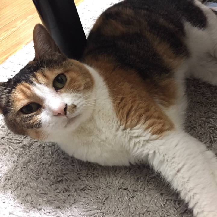 C1f22350 fdcc 448f 83f4 4df3485d2a93