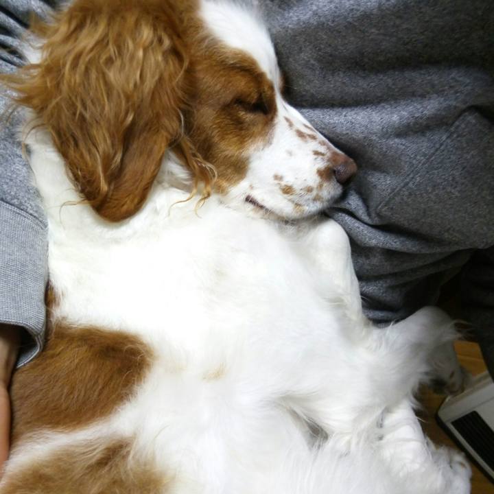 C1f223c9 0f3d 4b48 b44c ebebc73c2297