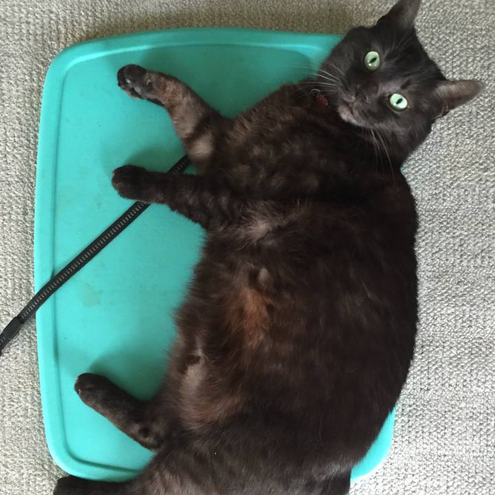 C1f22cde bb15 401d b33e 6b3a2cca3ac3